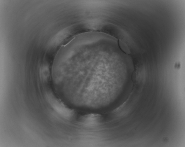 X0000114660128200910201539