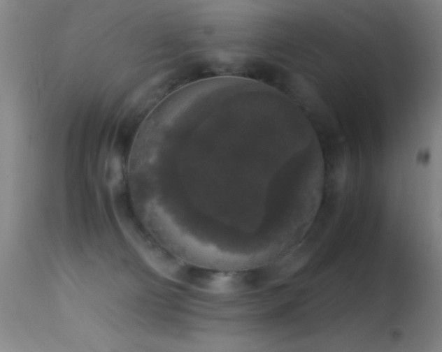 X0000114660130200910201539