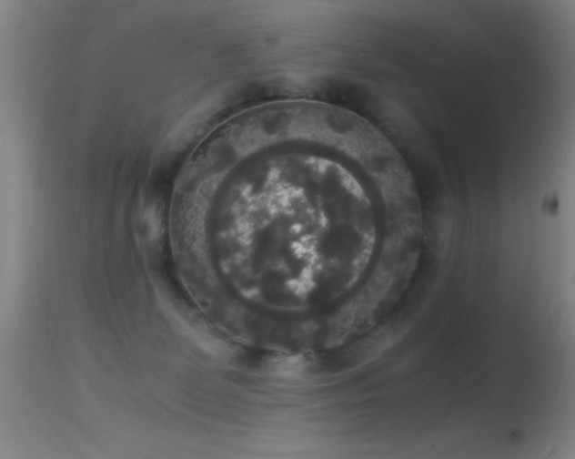 X0000114660131200910201539