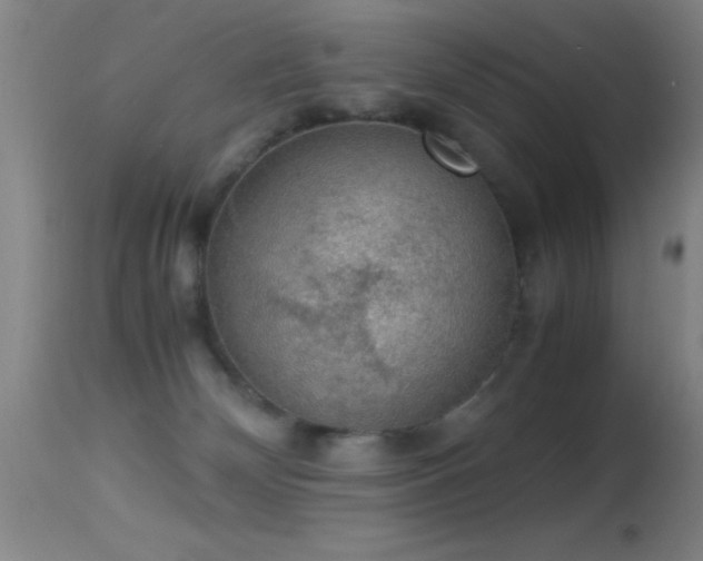 X0000114660132200910201539