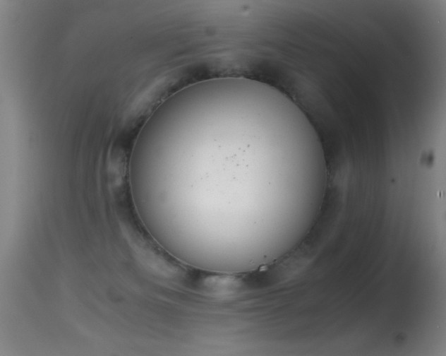 X0000114660133200910201539