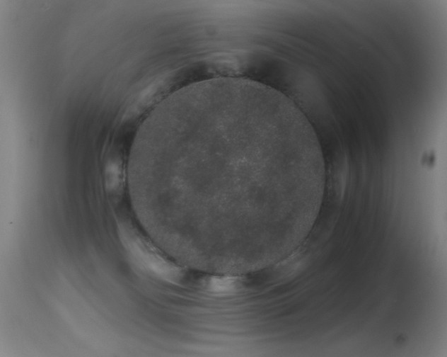 X0000114660134200910201539