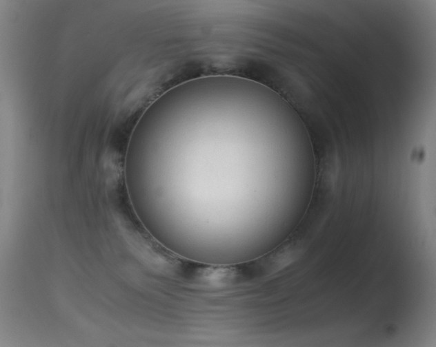 X0000114660135200910201539