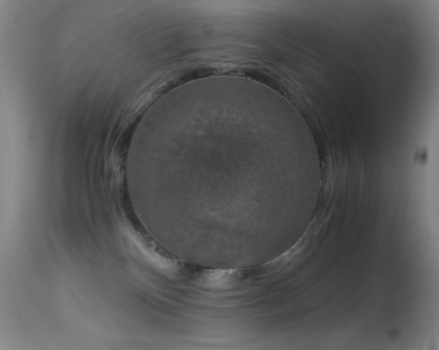 X0000114660136200910201539