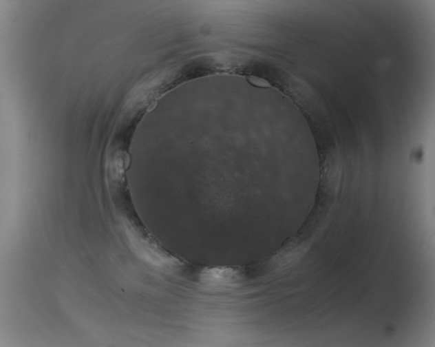 X0000114660137200910201539