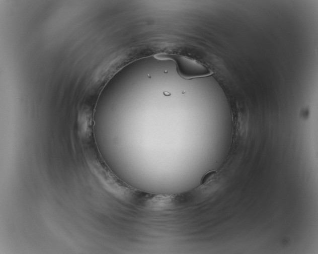 X0000114660138200910201539