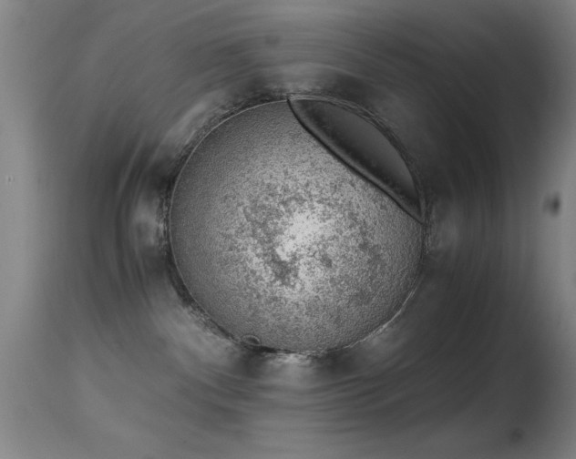 X0000114660140200910201539