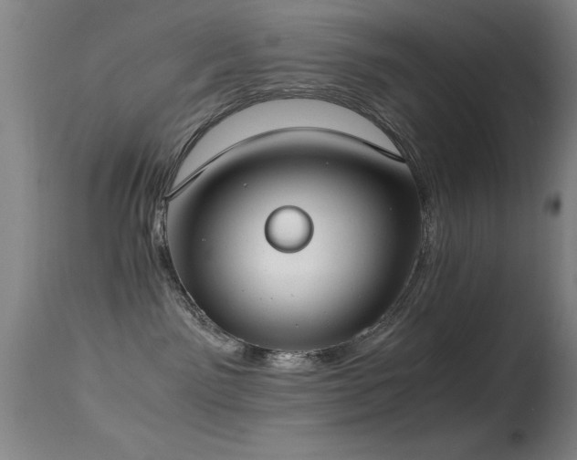 X0000114660141200910201539