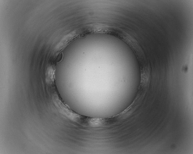 X0000114660142200910201539