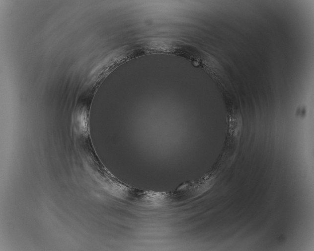 X0000114660143200910201539