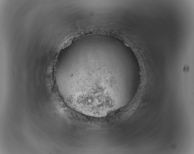 X0000114660144200910201539