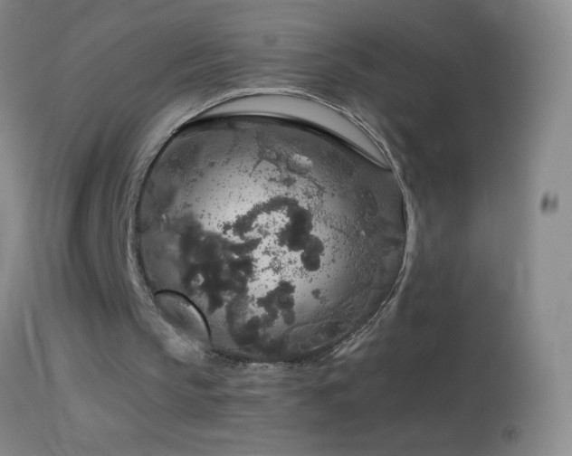 X0000114660145200910201538