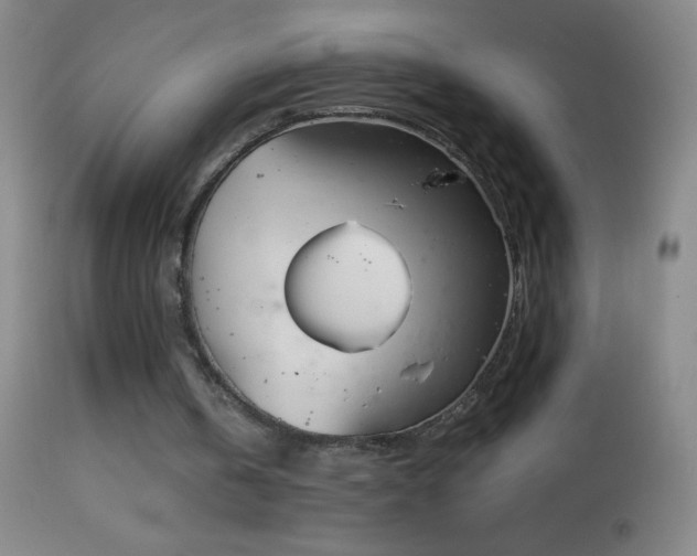 X0000114660146200910201538