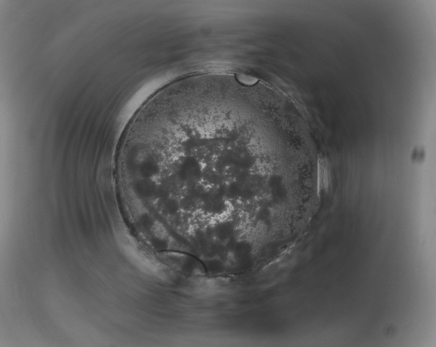 X0000114660147200910201538