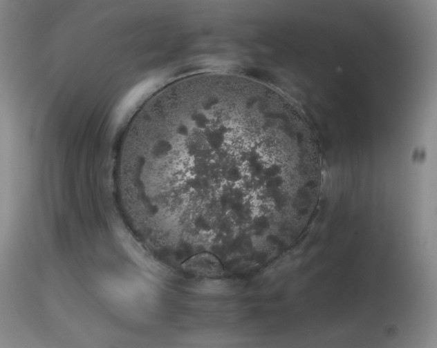 X0000114660149200910201538