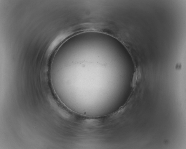 X0000114660150200910201538