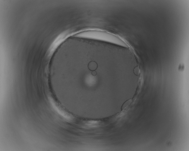 X0000114660151200910201538