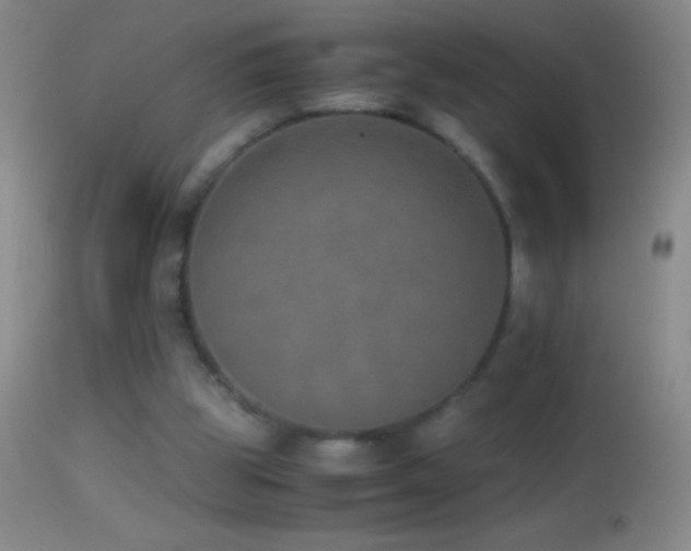 X0000114660153200910201538