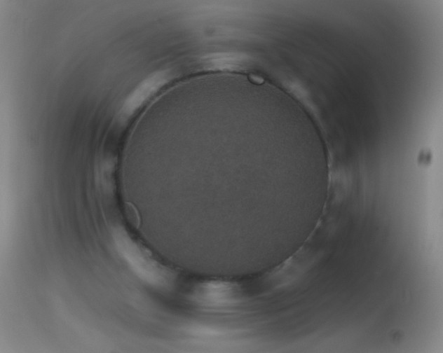 X0000114660154200910201538