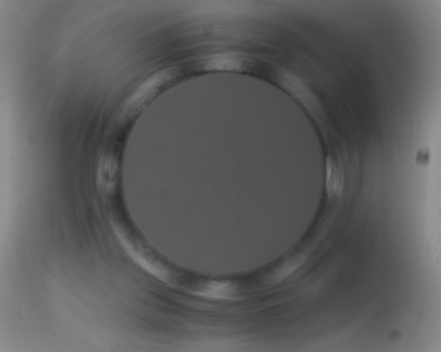 X0000114660157200910201538