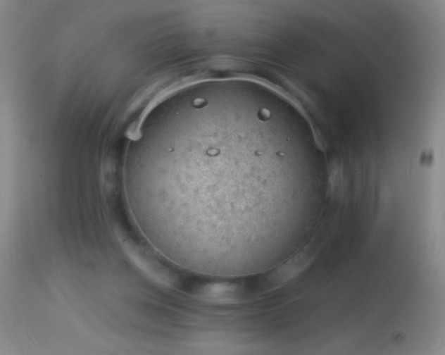 X0000114660158200910201538