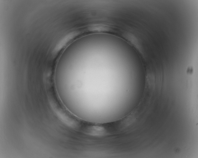 X0000114660159200910201538