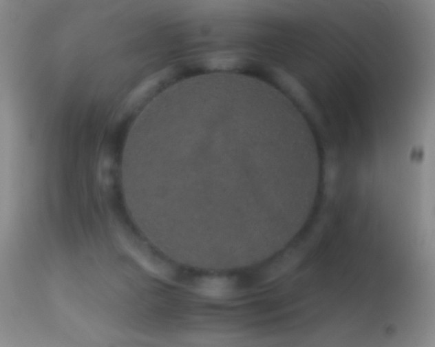 X0000114660161200910201538