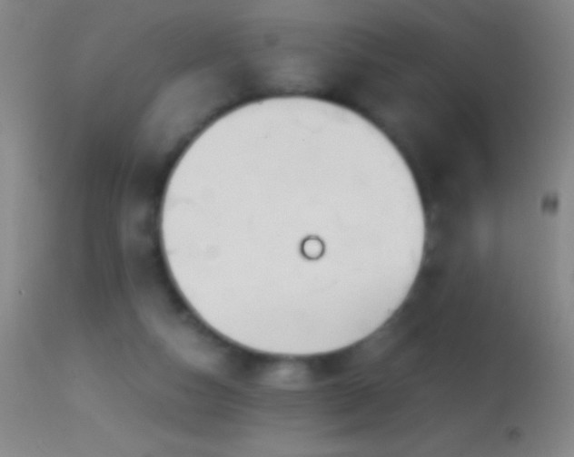 X0000114660162200910201538