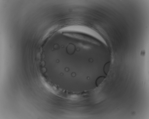 X0000114660163200910201538