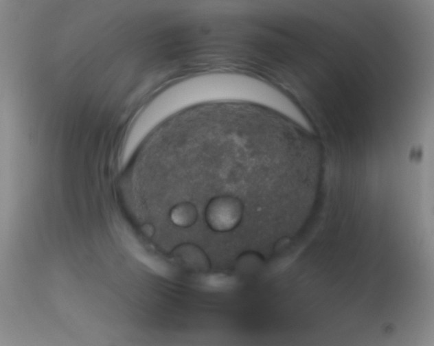 X0000114660165200910201538