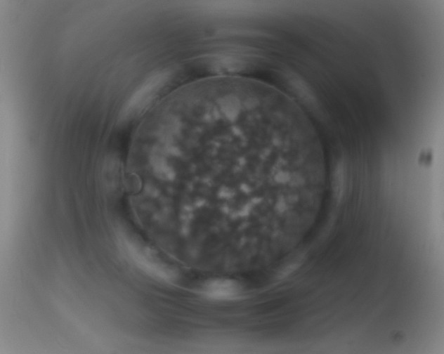 X0000114660169200910201538