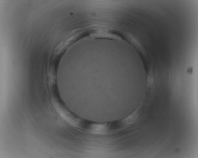 X0000114660170200910201538