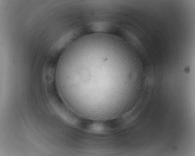 X0000114660171200910201538