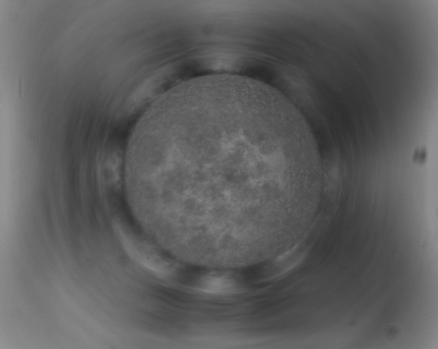 X0000114660175200910201539