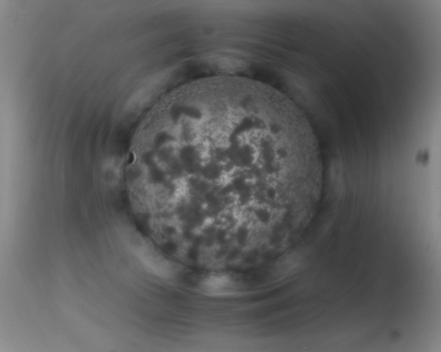 X0000114660177200910201539