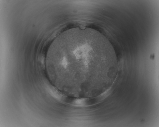 X0000114660178200910201539