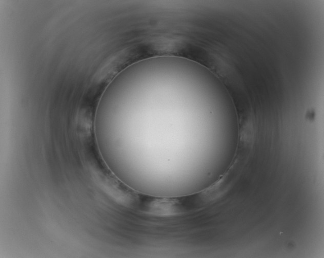 X0000114660179200910201539