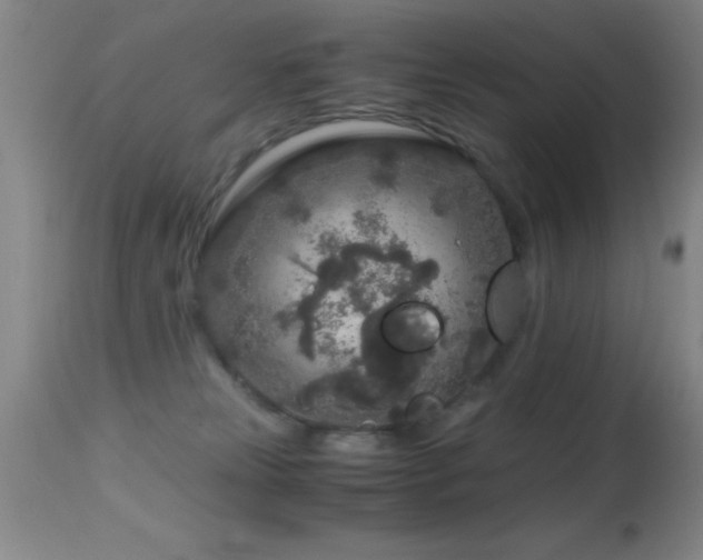 X0000114660181200910201539