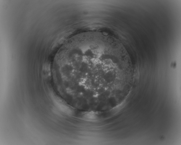 X0000114660182200910201539