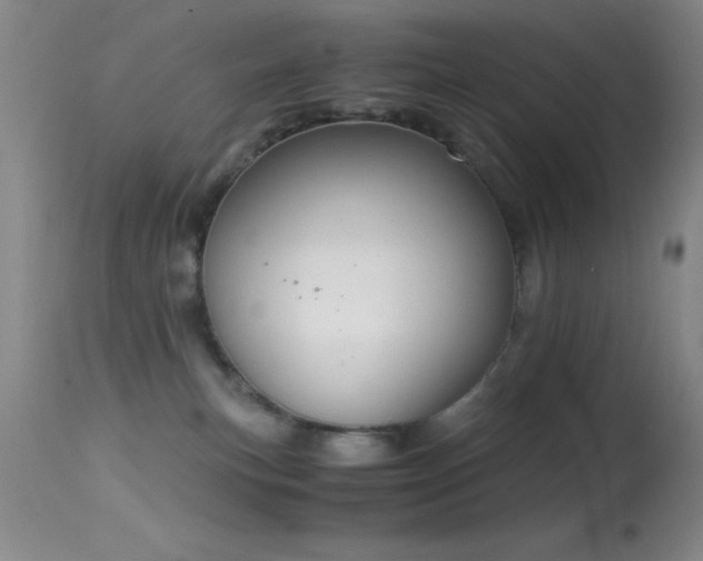 X0000114660183200910201539