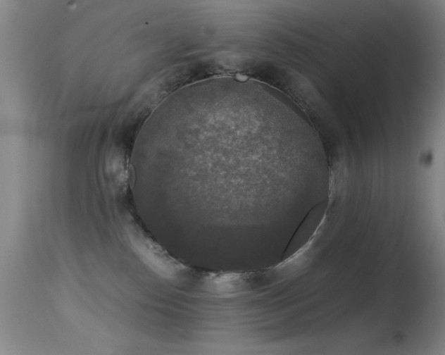 X0000114660186200910201539