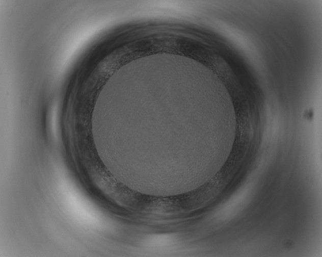 X0000114660189200910201539