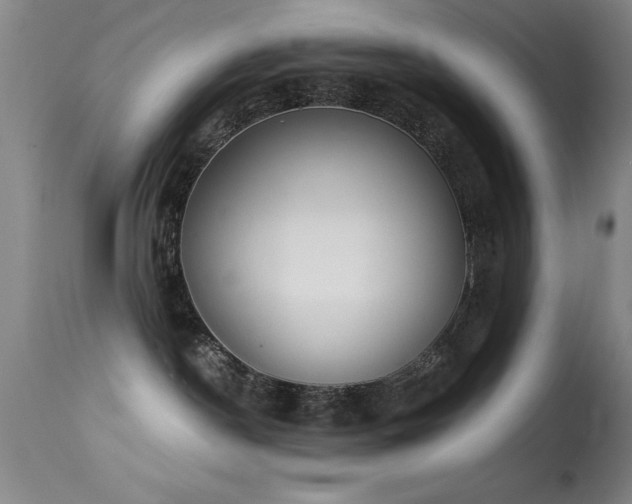 X0000114660190200910201539