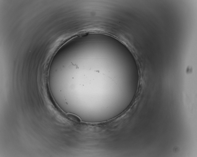 X0000114660193200910201538