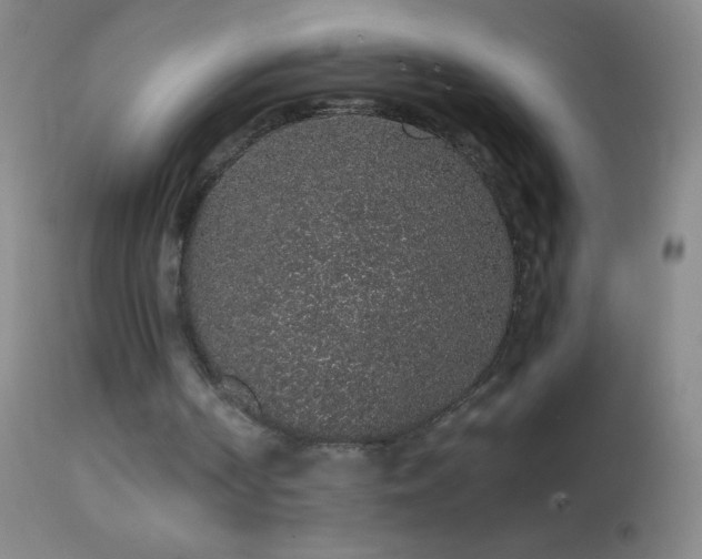 X0000114660194200910201538