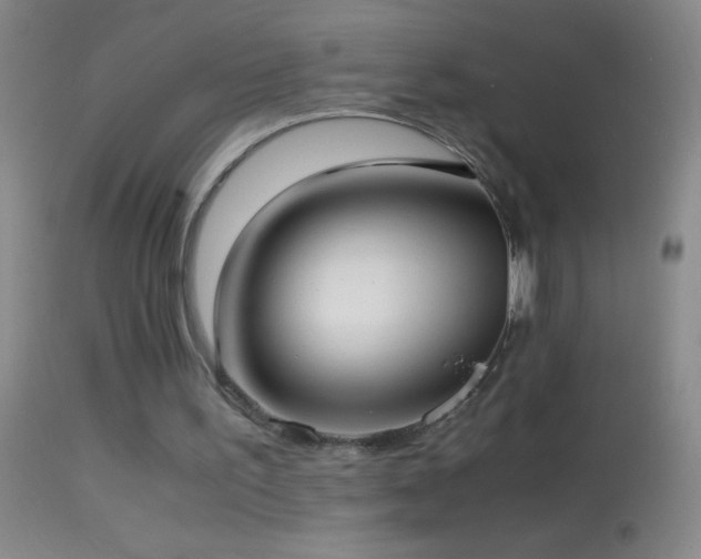 X0000114660195200910201538