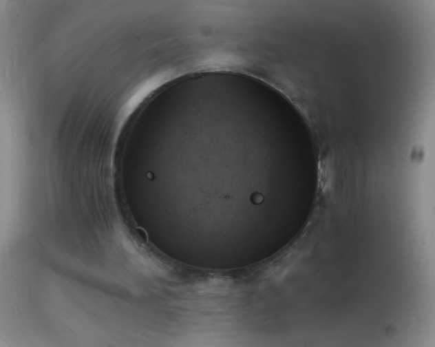 X0000114660196200910201538