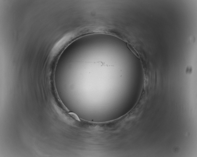 X0000114660197200910201538