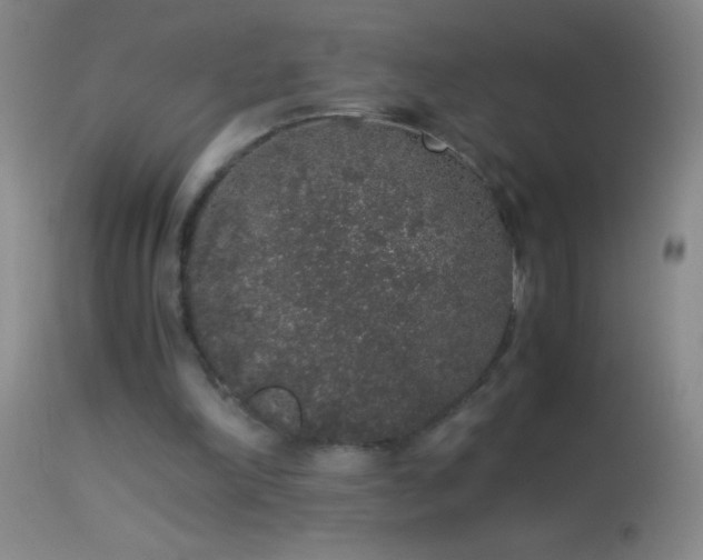 X0000114660198200910201538