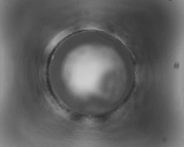 X0000114660199200910201538